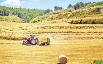 tarım güvenliği