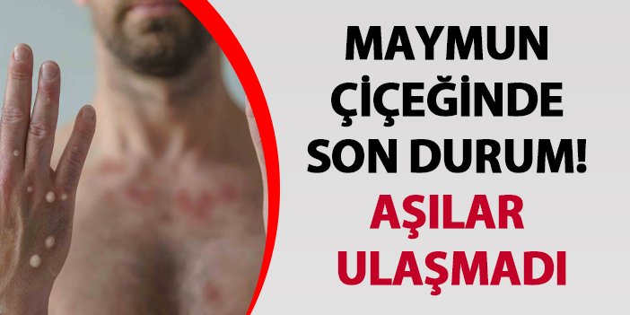 maymun çiçeği